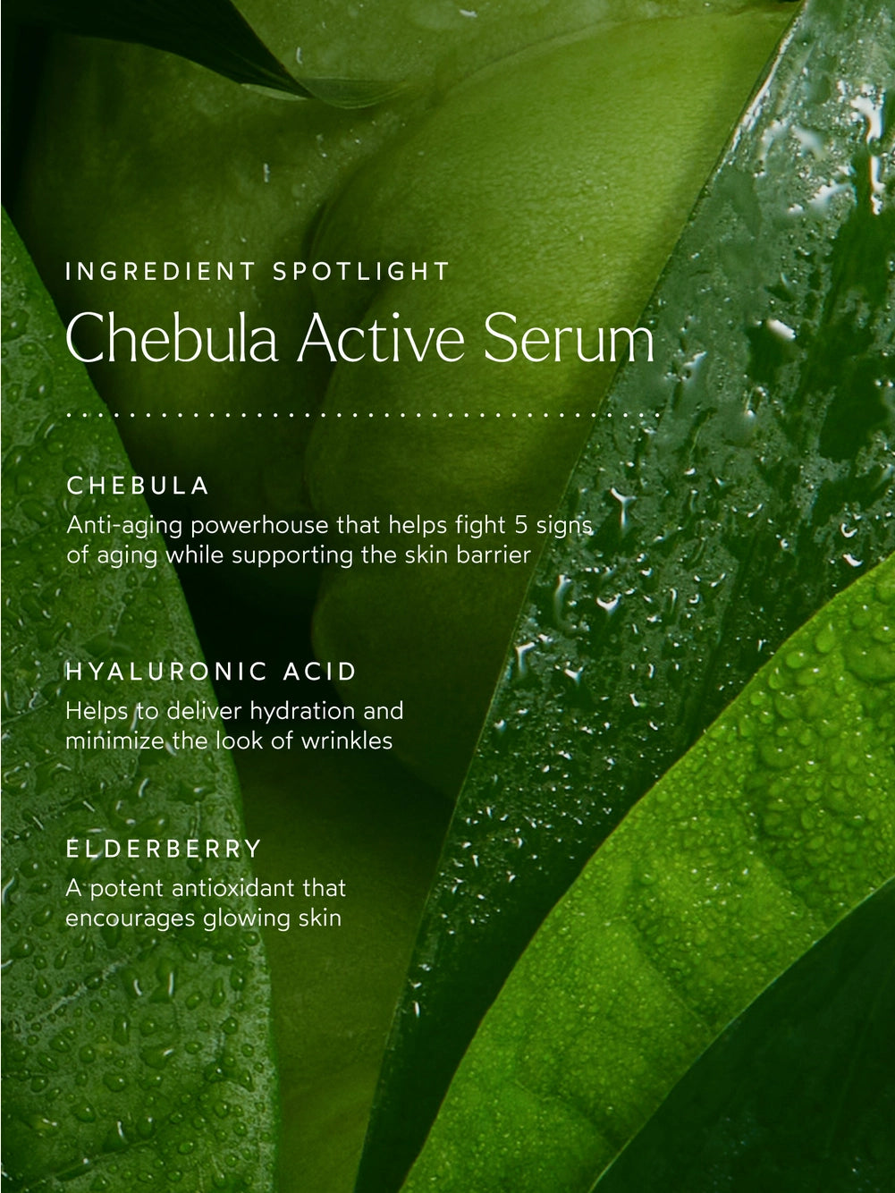 Chebula Active Serum