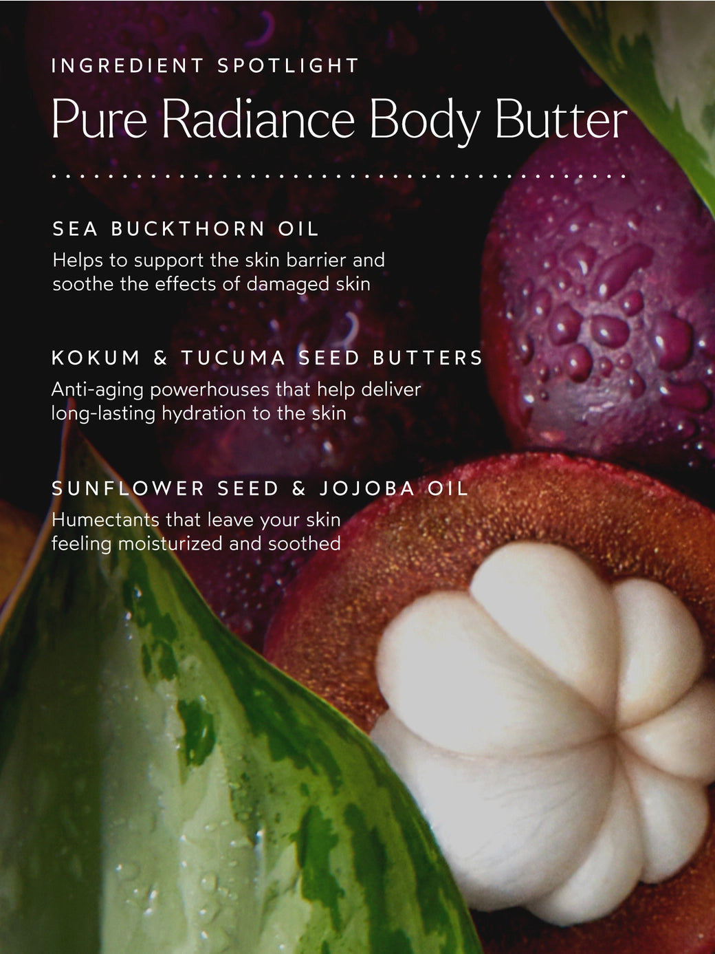 Pure Radiance Body Butter