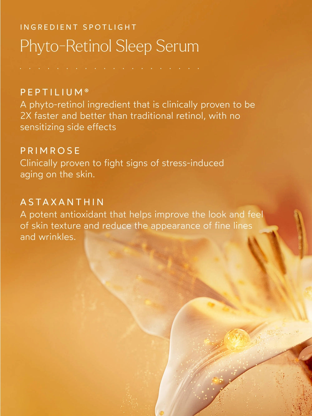 Phyto-Retinol Sleep Serum