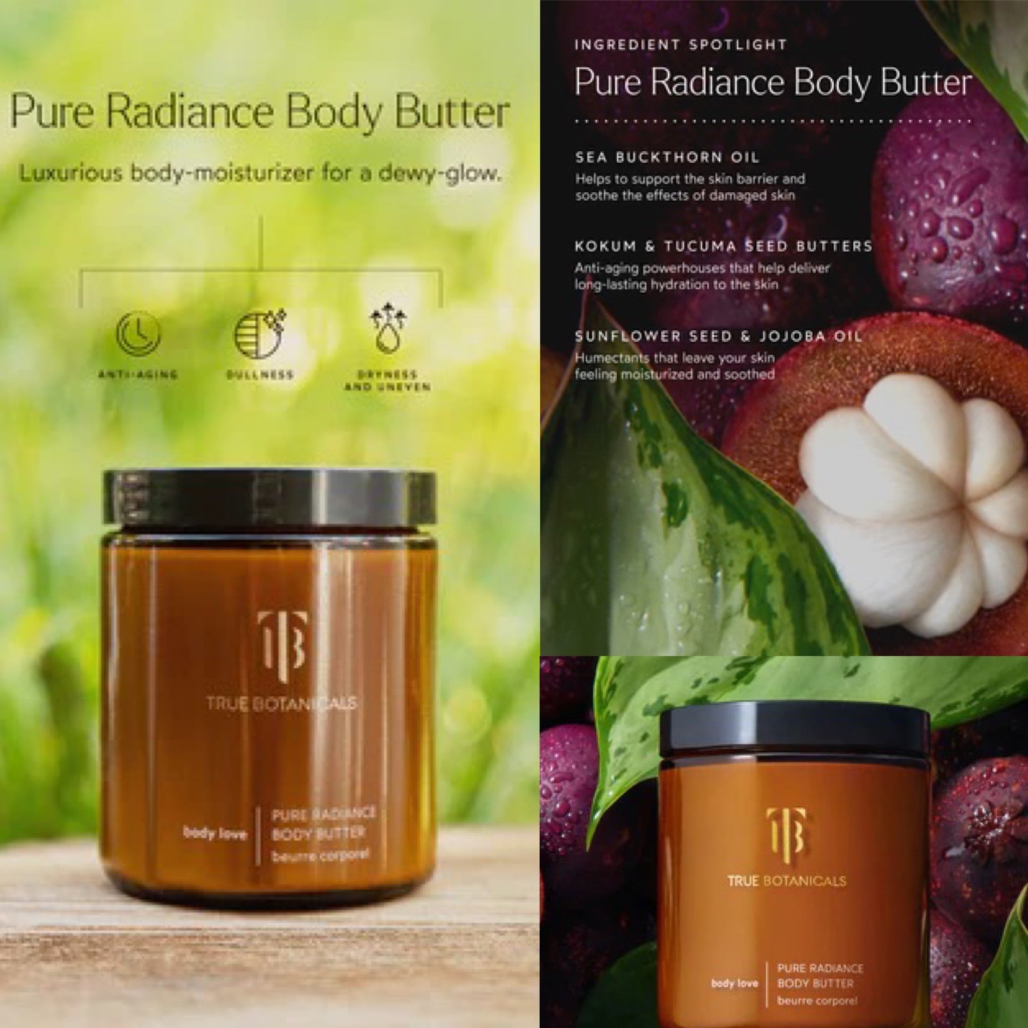 Pure Radiance Body Butter